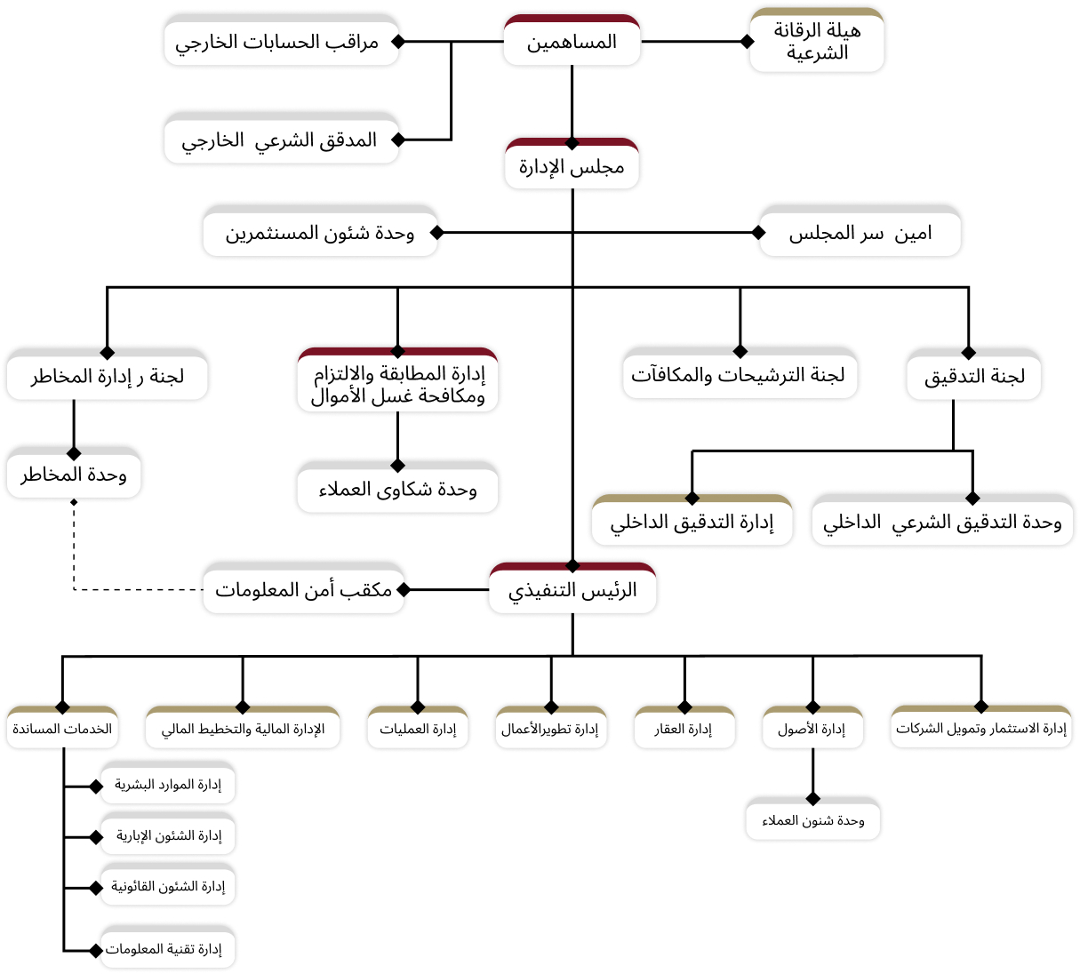 Organizational Structure